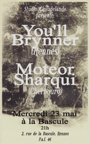 Moteor Sharki et You'll brynner @ la Bascule - mai 2012