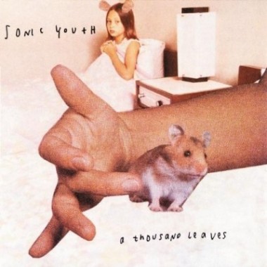 A thousand leaves -Sonic Youth