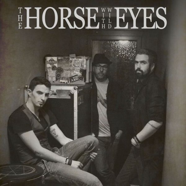 the-horse-with-wild-eyes