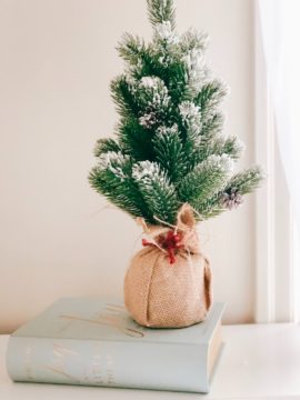 esther-hanten-Christmas-fir-tree-unsplash